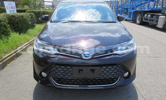 Buy Used Toyota Axio Other Car in Grootfontein in Namibia Buy Used Toyota Axio Other Car in Grootfontein in Namibia