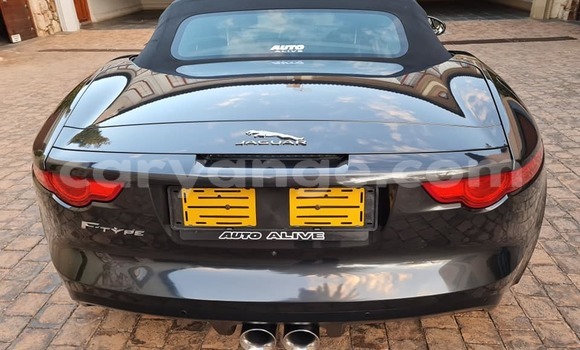 Acheter Occasion Voiture Jaguar F-Type Gris à Windhoek, Namibie Acheter Occasion Voiture Jaguar F-Type Gris à Windhoek, Namibie