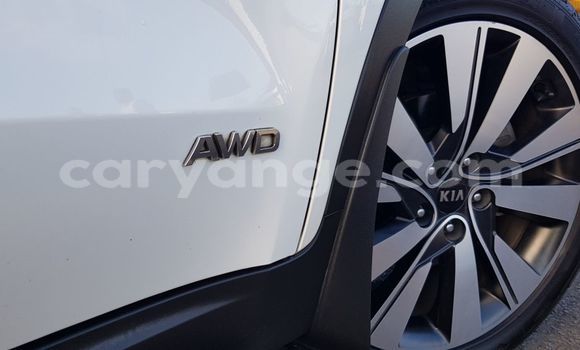 Buy Used Kia Sportage White Car in Walvis Bay in Namibia Buy Used Kia Sportage White Car in Walvis Bay in Namibia