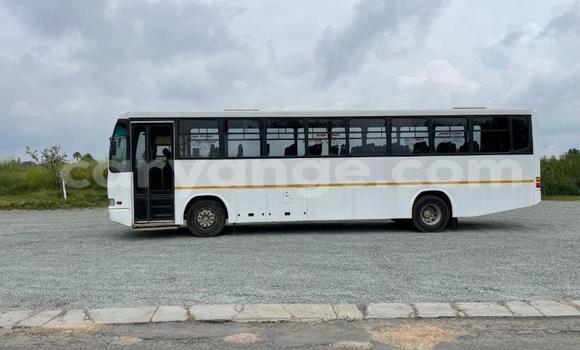 Acheter Occasion Utilitaire Iveco Daily Blanc à Windhoek, Namibie Acheter Occasion Utilitaire Iveco Daily Blanc à Windhoek, Namibie