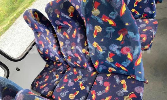 Acheter Occasion Utilitaire Iveco Daily Blanc à Windhoek, Namibie Acheter Occasion Utilitaire Iveco Daily Blanc à Windhoek, Namibie