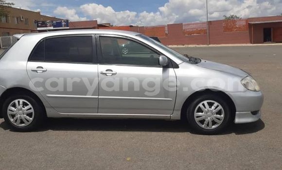 Buy Used Toyota Runx Silver Car in Windhoek in Namibia Buy Used Toyota Runx Silver Car in Windhoek in Namibia