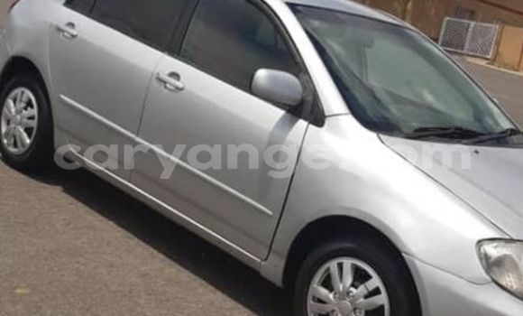 Buy Used Toyota Runx Silver Car in Windhoek in Namibia Buy Used Toyota Runx Silver Car in Windhoek in Namibia