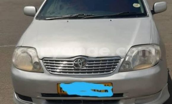 Buy Used Toyota Runx Silver Car in Windhoek in Namibia Buy Used Toyota Runx Silver Car in Windhoek in Namibia