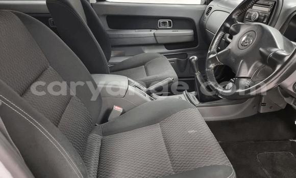 Buy Used Nissan NP 300 White Car in Windhoek in Namibia Buy Used Nissan NP 300 White Car in Windhoek in Namibia