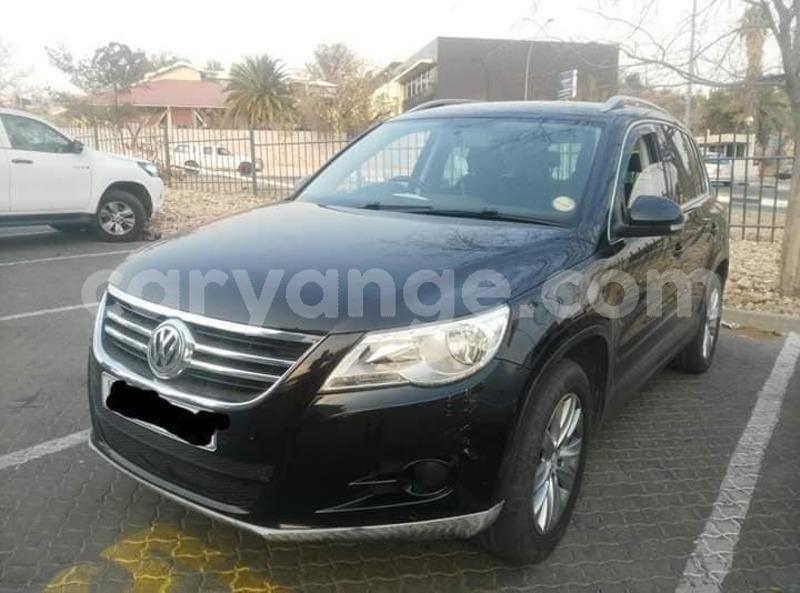 Big with watermark 48366644 794954724179232 6016236840724463616 n