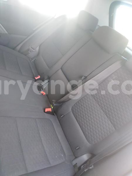 Big with watermark 48372155 794954877512550 8060075033722093568 n