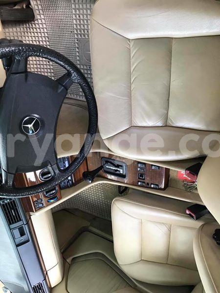 Big with watermark 52130146 259532578272477 7339483846208913408 n