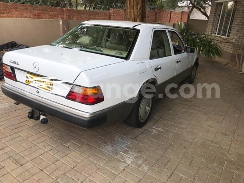 Big with watermark 52384514 259532798272455 4249374976907411456 n