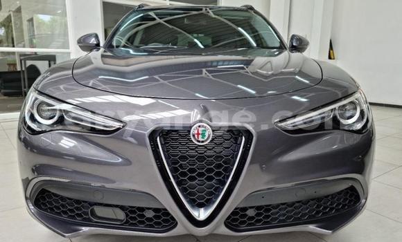 Acheter Occasion Voiture Alfa Romeo Stelvio Gris à Windhoek, Namibie Acheter Occasion Voiture Alfa Romeo Stelvio Gris à Windhoek, Namibie