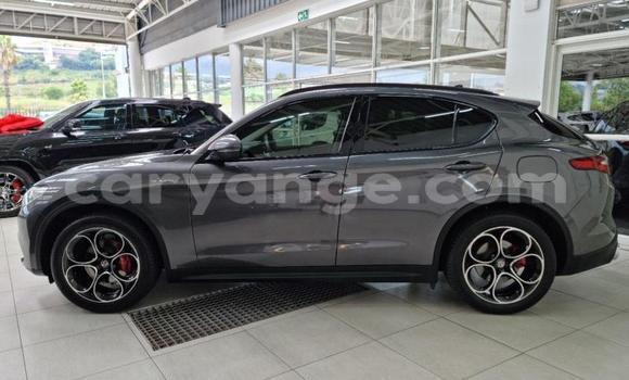Acheter Occasion Voiture Alfa Romeo Stelvio Gris à Windhoek, Namibie Acheter Occasion Voiture Alfa Romeo Stelvio Gris à Windhoek, Namibie