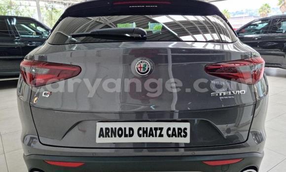 Acheter Occasion Voiture Alfa Romeo Stelvio Gris à Windhoek, Namibie Acheter Occasion Voiture Alfa Romeo Stelvio Gris à Windhoek, Namibie