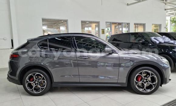 Acheter Occasion Voiture Alfa Romeo Stelvio Gris à Windhoek, Namibie Acheter Occasion Voiture Alfa Romeo Stelvio Gris à Windhoek, Namibie