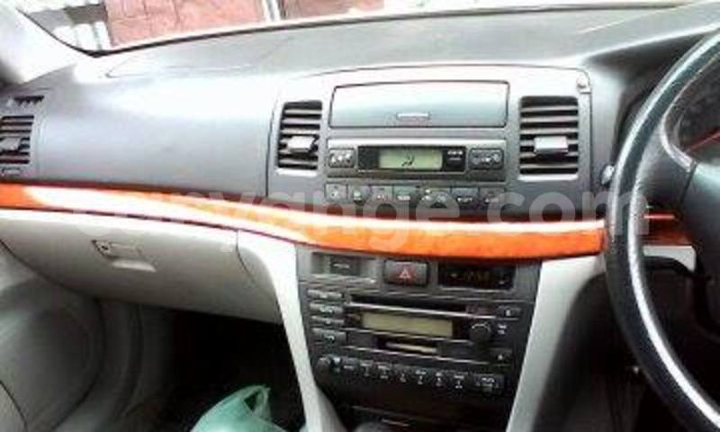 Big with watermark 13606492 10209550012092114 5947989650058618524 n