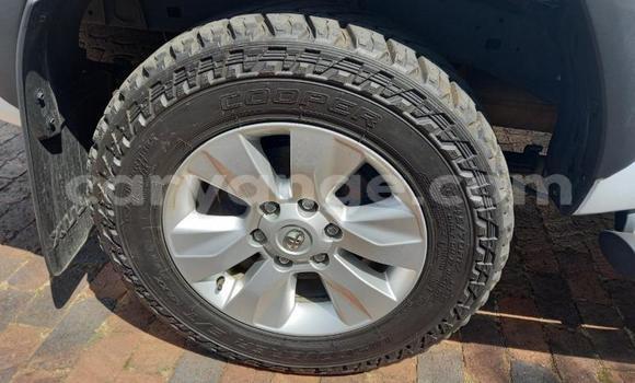 Buy Used Toyota Hilux White Car in Windhoek in Namibia Buy Used Toyota Hilux White Car in Windhoek in Namibia