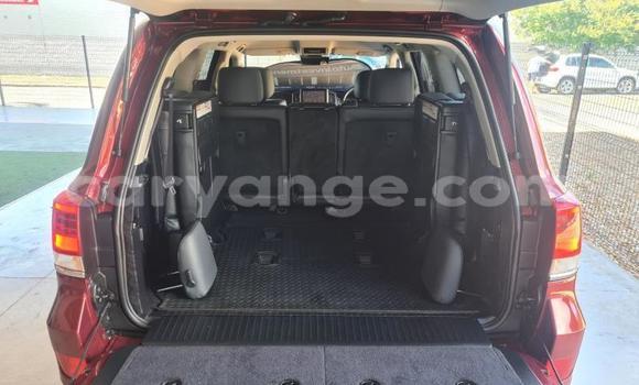 Buy Used Toyota Land Cruiser Red Car in Windhoek in Namibia Buy Used Toyota Land Cruiser Red Car in Windhoek in Namibia