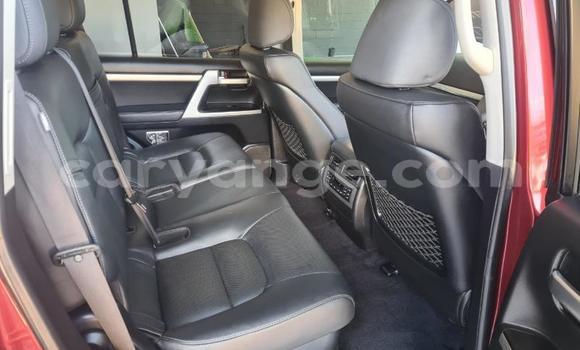 Buy Used Toyota Land Cruiser Red Car in Windhoek in Namibia Buy Used Toyota Land Cruiser Red Car in Windhoek in Namibia