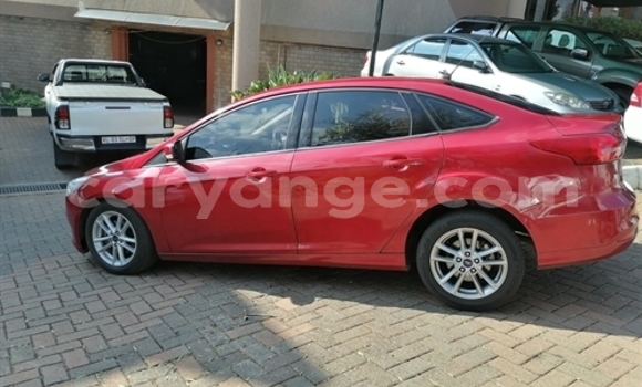 Acheter Occasion Voiture Ford Focus Beige à Windhoek, Namibie Acheter Occasion Voiture Ford Focus Beige à Windhoek, Namibie