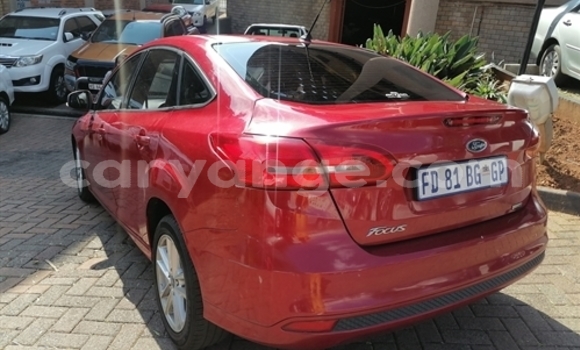 Acheter Occasion Voiture Ford Focus Beige à Windhoek, Namibie Acheter Occasion Voiture Ford Focus Beige à Windhoek, Namibie