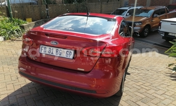 Acheter Occasion Voiture Ford Focus Beige à Windhoek, Namibie Acheter Occasion Voiture Ford Focus Beige à Windhoek, Namibie