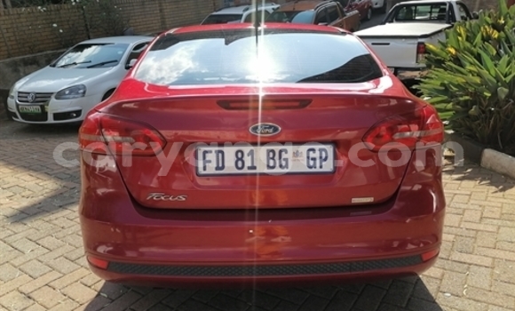 Acheter Occasion Voiture Ford Focus Beige à Windhoek, Namibie Acheter Occasion Voiture Ford Focus Beige à Windhoek, Namibie