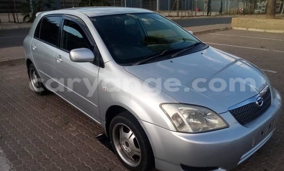 Acheter Occasion Voiture Toyota Runx Gris à Windhoek, Namibie Acheter Occasion Voiture Toyota Runx Gris à Windhoek, Namibie