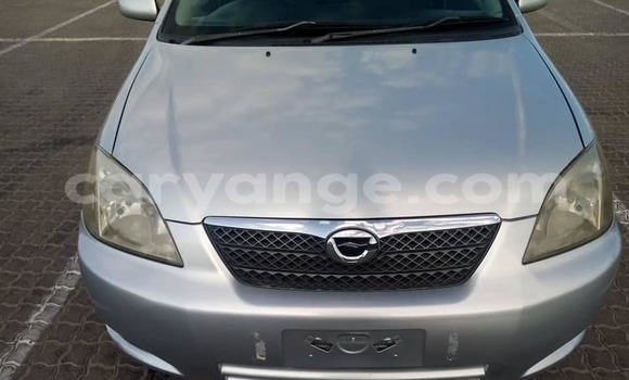 Acheter Occasion Voiture Toyota Runx Gris à Windhoek, Namibie Acheter Occasion Voiture Toyota Runx Gris à Windhoek, Namibie