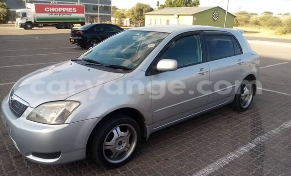 Acheter Occasion Voiture Toyota Runx Gris à Windhoek, Namibie Acheter Occasion Voiture Toyota Runx Gris à Windhoek, Namibie