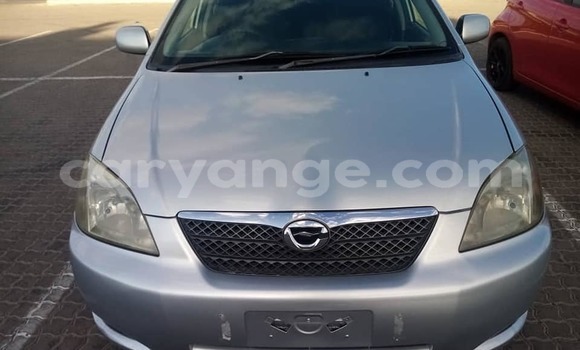 Acheter Occasion Voiture Toyota Runx Gris à Windhoek, Namibie Acheter Occasion Voiture Toyota Runx Gris à Windhoek, Namibie