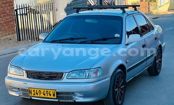 Buy Used Toyota Corolla Silver Car in Windhoek in Namibia