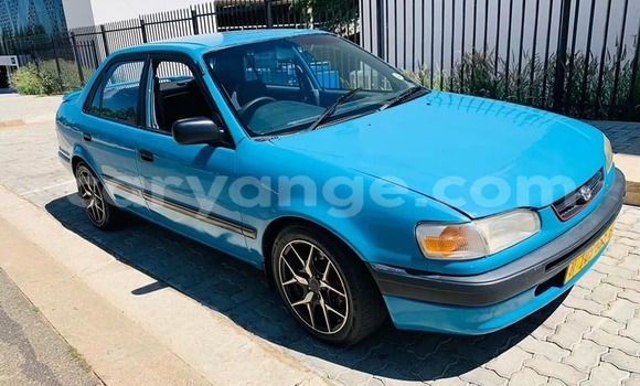 Buy Used Toyota Corolla Blue Car in Windhoek in Namibia