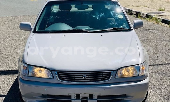 Buy Used Toyota Corolla Silver Car in Windhoek in Namibia