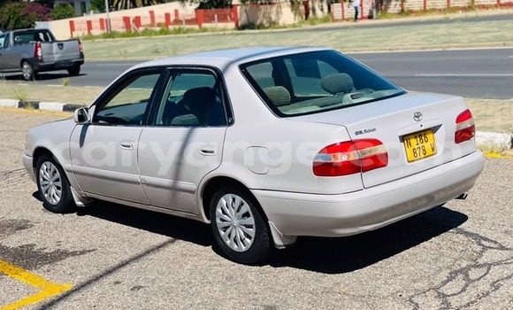 Buy Used Toyota Corolla Silver Car in Windhoek in Namibia