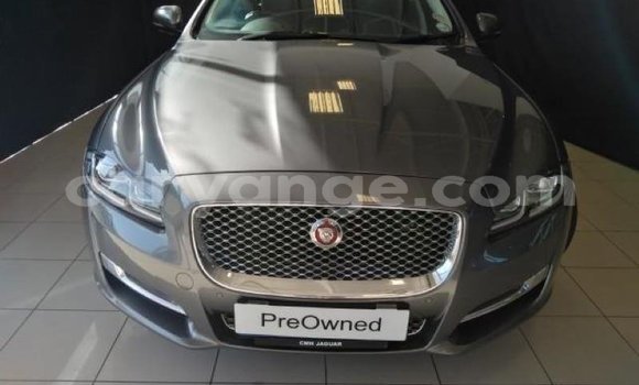 Buy Used Jaguar XJ Silver Car in Windhoek in Namibia