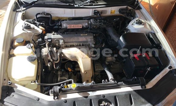 Buy Used Toyota Camry White Car in Windhoek in Namibia Buy Used Toyota Camry White Car in Windhoek in Namibia