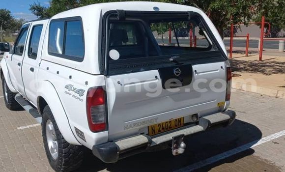Buy Used Nissan Hardbody White Car in Windhoek in Namibia Buy Used Nissan Hardbody White Car in Windhoek in Namibia