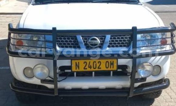 Buy Used Nissan Hardbody White Car in Windhoek in Namibia Buy Used Nissan Hardbody White Car in Windhoek in Namibia