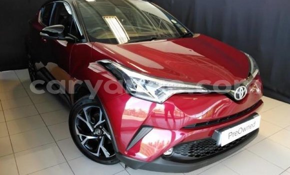 Buy Used Toyota C-HR Red Car in Windhoek in Namibia Buy Used Toyota C-HR Red Car in Windhoek in Namibia