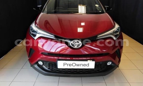 Buy Used Toyota C-HR Red Car in Windhoek in Namibia Buy Used Toyota C-HR Red Car in Windhoek in Namibia