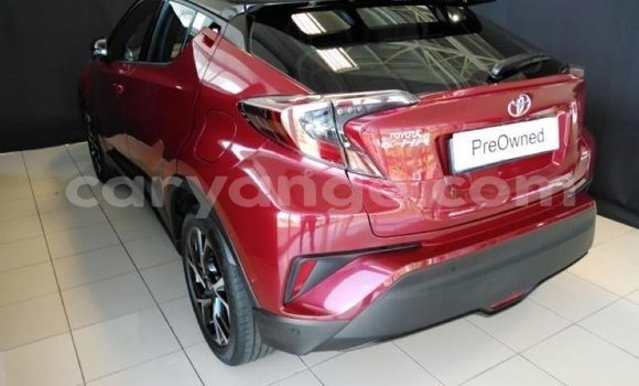 Buy Used Toyota C-HR Red Car in Windhoek in Namibia Buy Used Toyota C-HR Red Car in Windhoek in Namibia