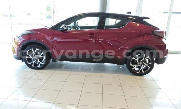 Buy Used Toyota C-HR Red Car in Windhoek in Namibia Buy Used Toyota C-HR Red Car in Windhoek in Namibia