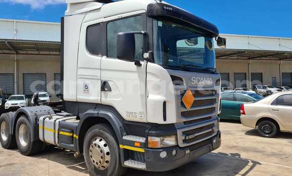 Buy Used Scania R470 White Truck in Windhoek in Namibia