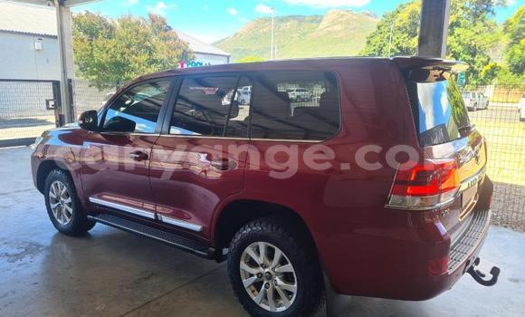 Buy Used Toyota Land Cruiser Other Car in Bethanien in Karas Buy Used Toyota Land Cruiser Other Car in Bethanien in Karas