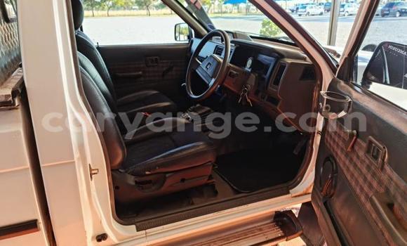 Buy Used Nissan NP 300 Silver Car in Windhoek in Namibia Buy Used Nissan NP 300 Silver Car in Windhoek in Namibia