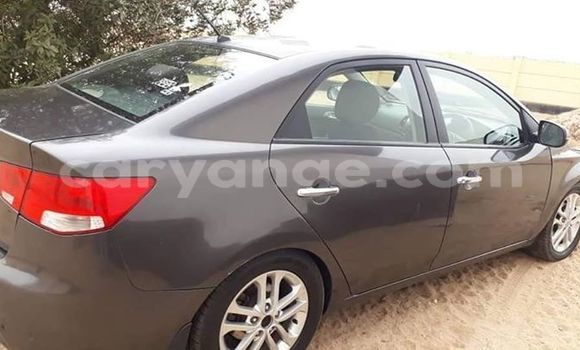 Buy Used Kia Cerato Other Car in Swakopmund in Namibia Buy Used Kia Cerato Other Car in Swakopmund in Namibia