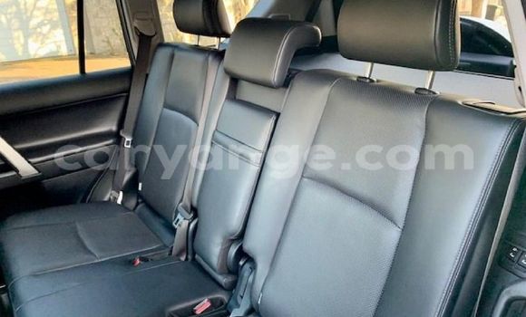 Buy Used Toyota Land Cruiser Prado Silver Car in Windhoek in Namibia Buy Used Toyota Land Cruiser Prado Silver Car in Windhoek in Namibia