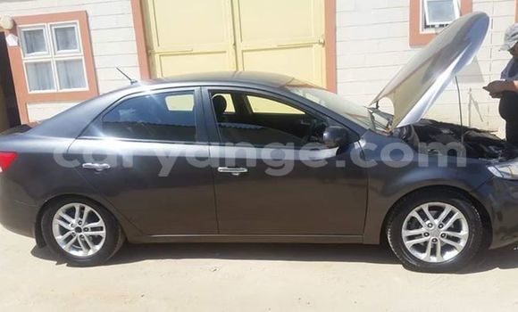 Buy Used Kia Cerato Other Car in Swakopmund in Namibia Buy Used Kia Cerato Other Car in Swakopmund in Namibia