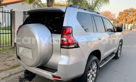 Buy Used Toyota Land Cruiser Prado Silver Car in Windhoek in Namibia Buy Used Toyota Land Cruiser Prado Silver Car in Windhoek in Namibia
