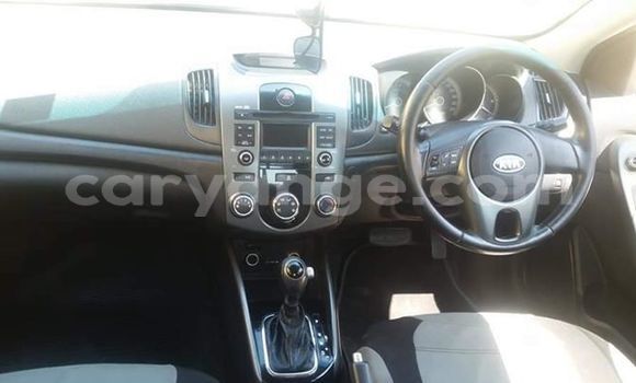 Buy Used Kia Cerato Other Car in Swakopmund in Namibia Buy Used Kia Cerato Other Car in Swakopmund in Namibia
