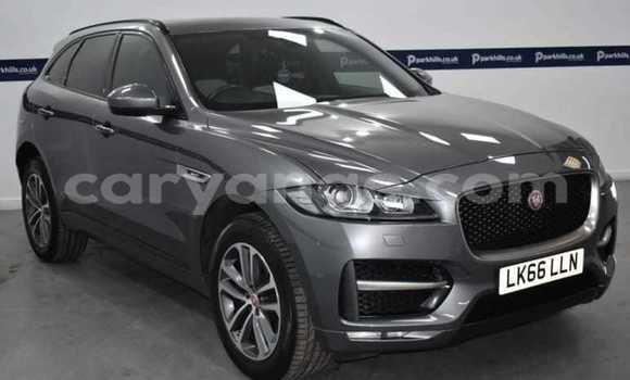 Buy Used Jaguar F-Pace Silver Car in Windhoek in Namibia